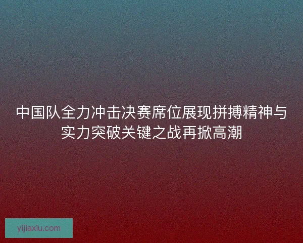中国队全力冲击决赛席位展现拼搏精神与实力突破关键之战再掀高潮