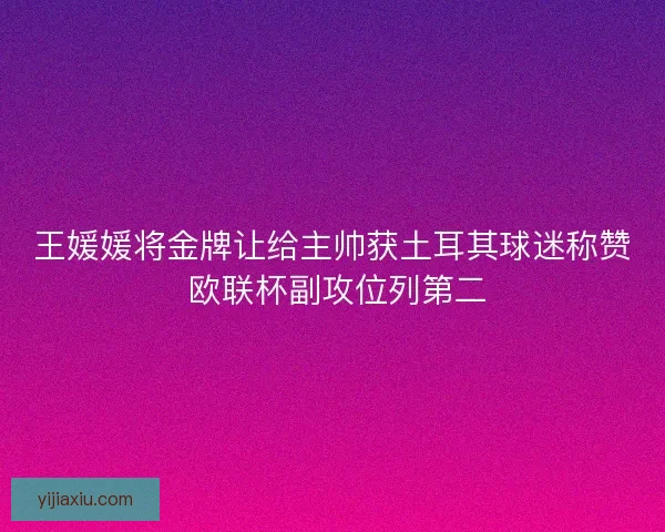王媛媛将金牌让给主帅获土耳其球迷称赞 欧联杯副攻位列第二